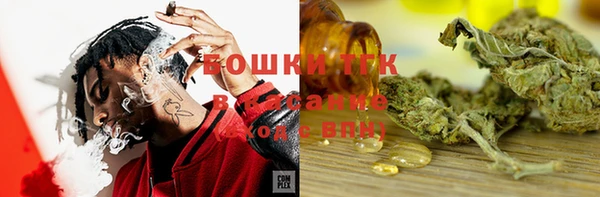 прущие грибы Арсеньев